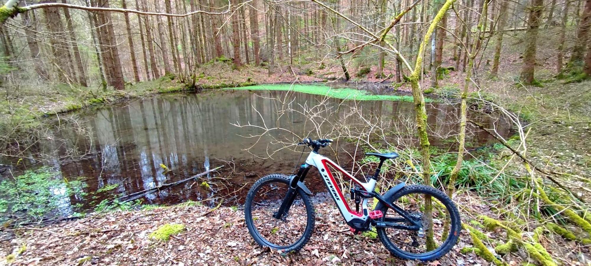 Ferienwohnung Hecht - Biketrail Fun & Relaxing Wolfegg ภายนอก รูปภาพ